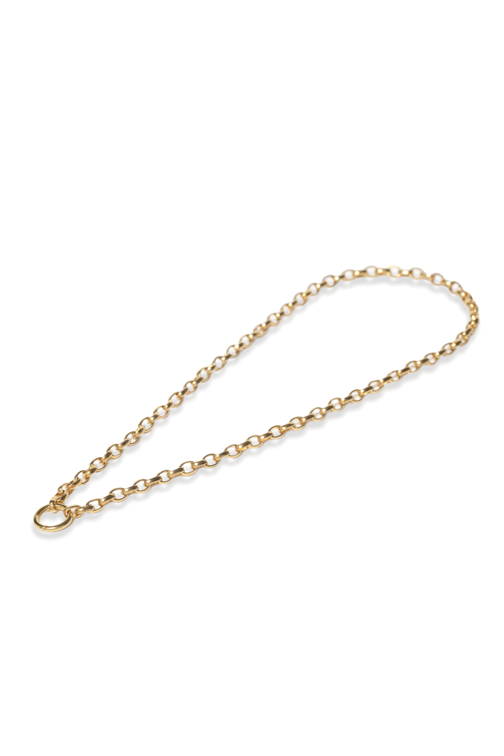 Oval Charm Loop Chain in Gold - Tea & Tequila